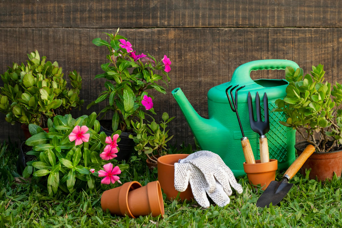 5 Gardening Ideas for Apartment Gardening