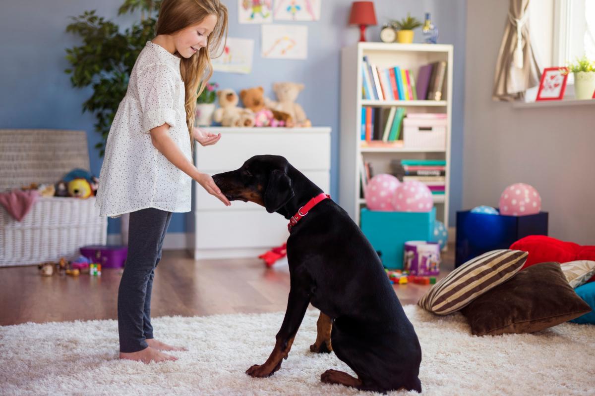 Activities for Kids and Dogs That Live in Apartments
