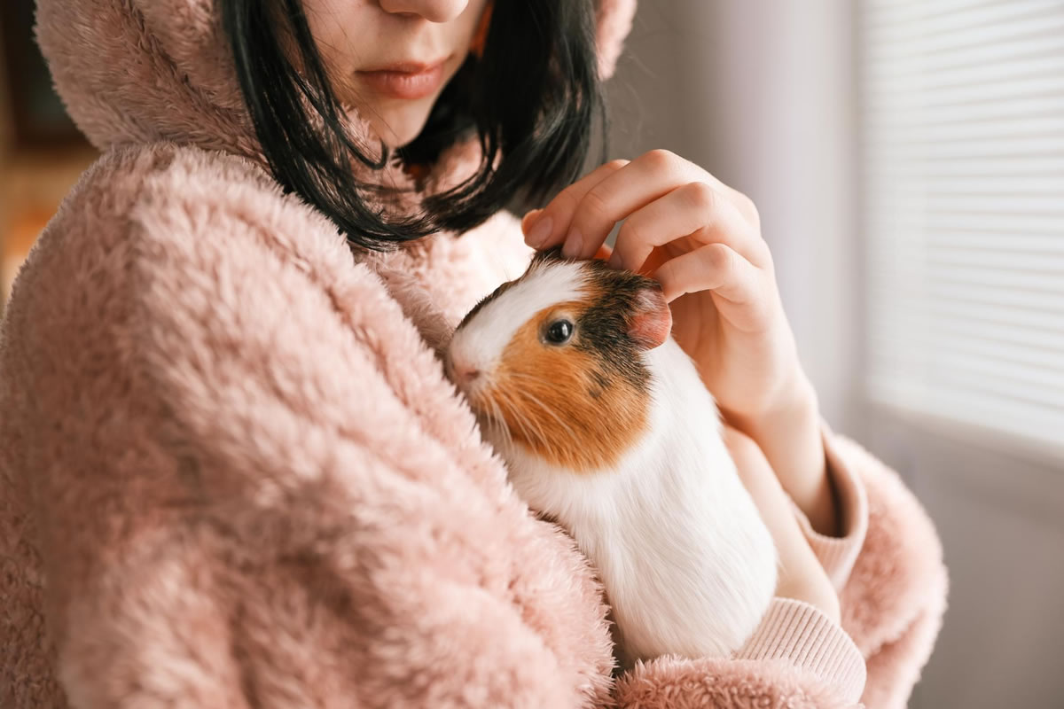 Five of the Best Pets for Apartments