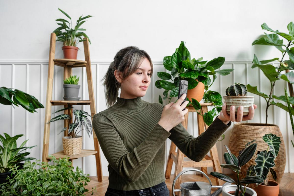 5 Indoor Plants You (Probably) Can’t Kill