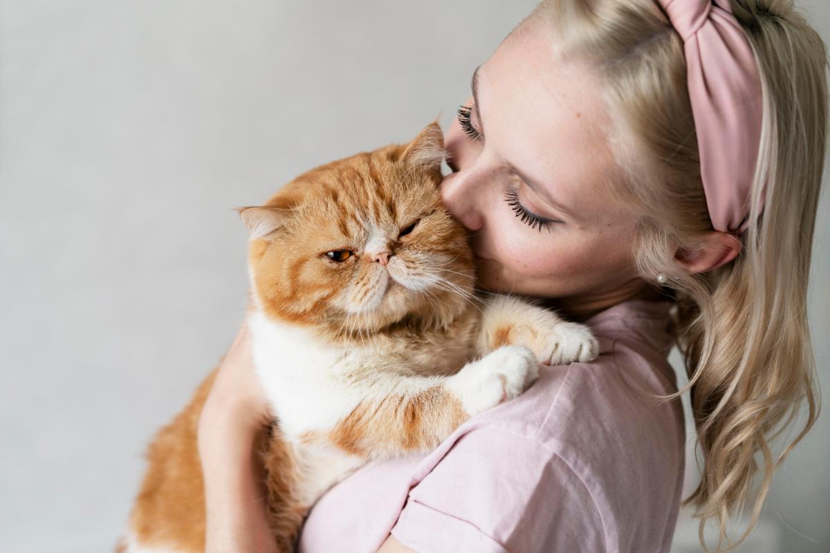 7 Reasons You Should Get a Cat for Your Apartment