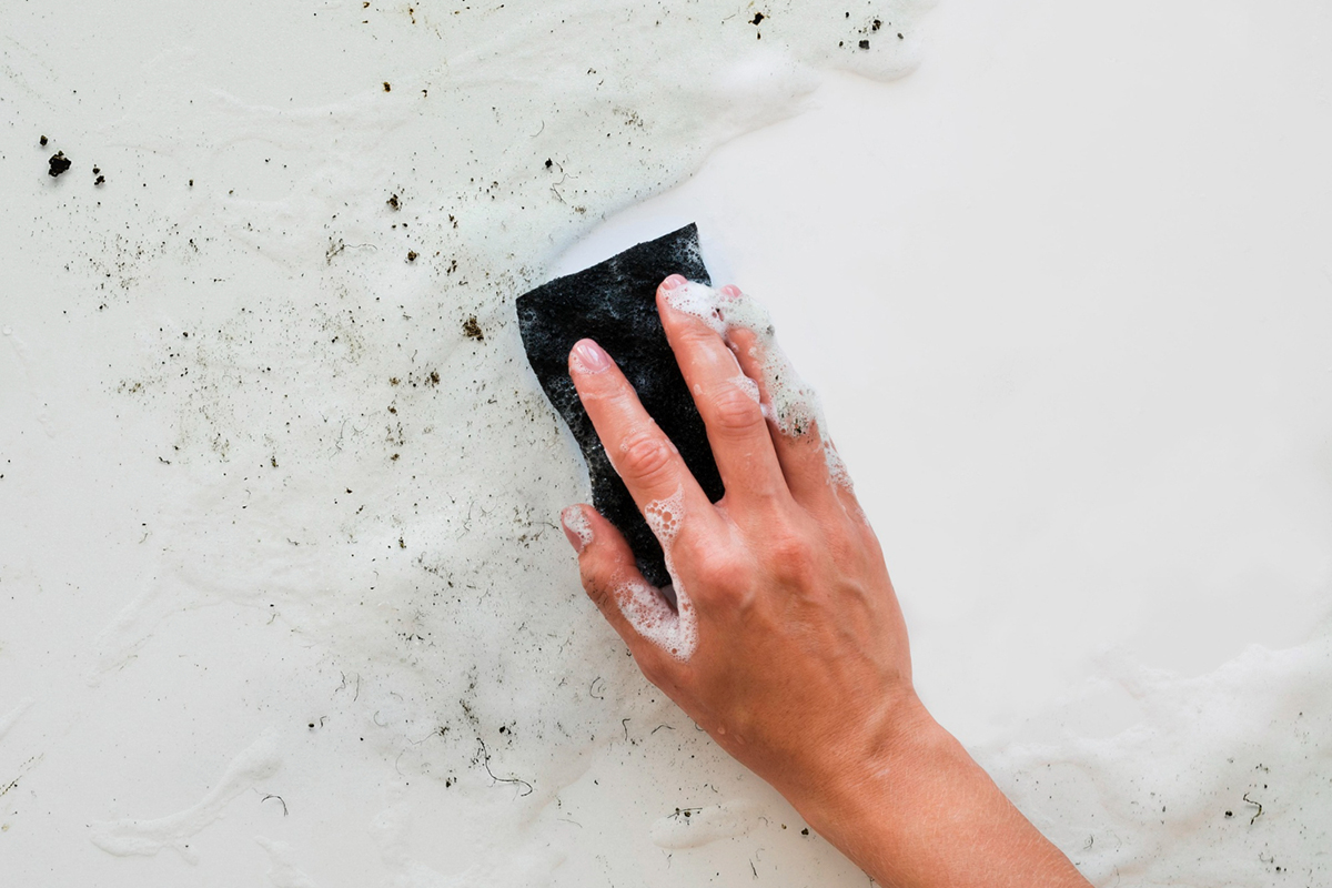Simple Ways to Get Rid of Mold in Your Apartment