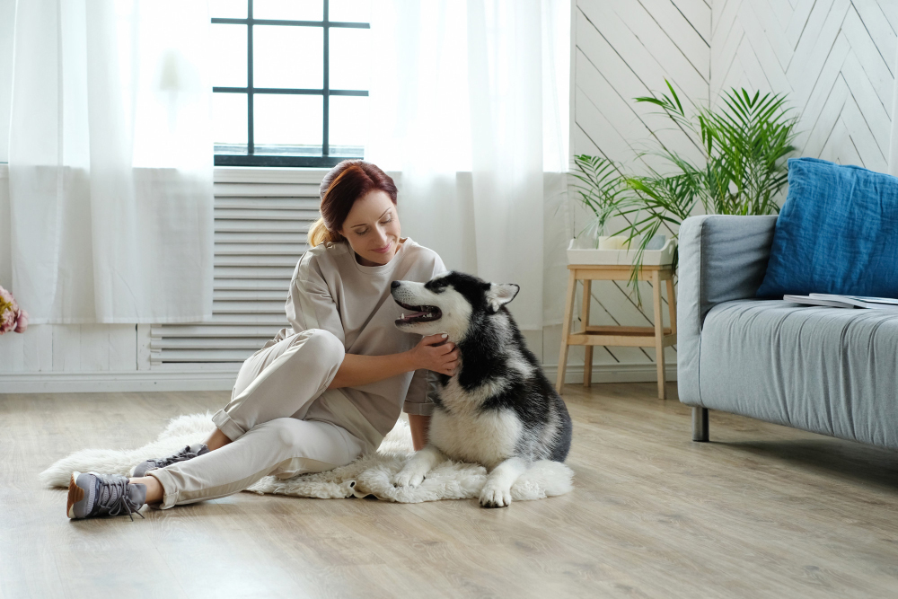 A Comprehensive Guide to Renters Pet Insurance