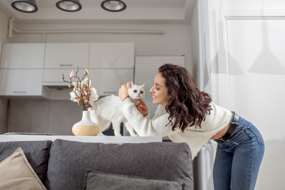 Simple Ways to Make Your Cat Feel at Home in Your New Apartment