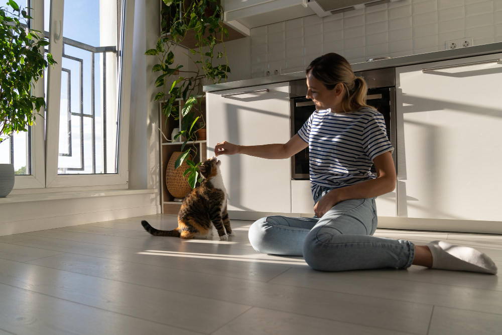 Pet-Friendly Style: Apartment Living That Works for Everyone